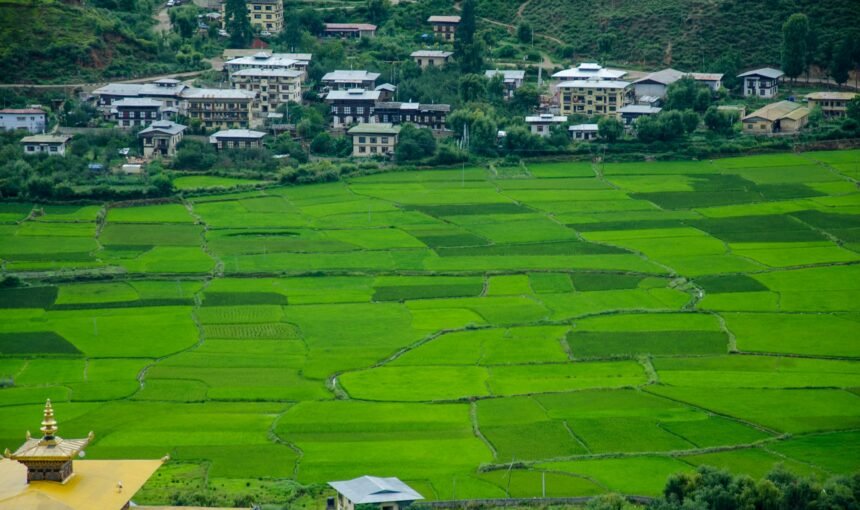 Rural Bhutan Homestay